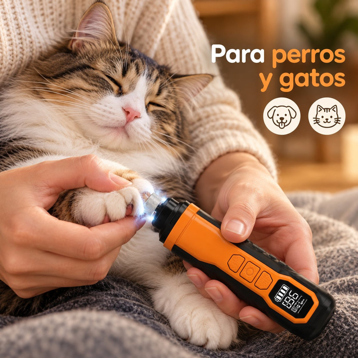 Gato relajado mientras le liman las uñas con la lima eléctrica para perros y gatos
